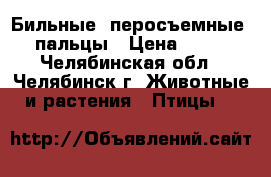 Бильные (перосъемные) пальцы › Цена ­ 13 - Челябинская обл., Челябинск г. Животные и растения » Птицы   